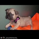 Ayşegül Ünsal Instagram – Canımın Canı,güzel Can,İyi ki doğmuşsun da bizim Ponyo’muz olmuşsun.Mutluluk,sağlık,iyi olanda bolluk olsun ömrün.Varlığına şükranlarımla🙏🏻 Seni seviyorum deniz kızı.❤️@_ozgurunsal_