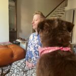Aya Cash Instagram -