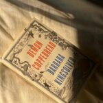 Aya Cash Instagram - Road tripped
