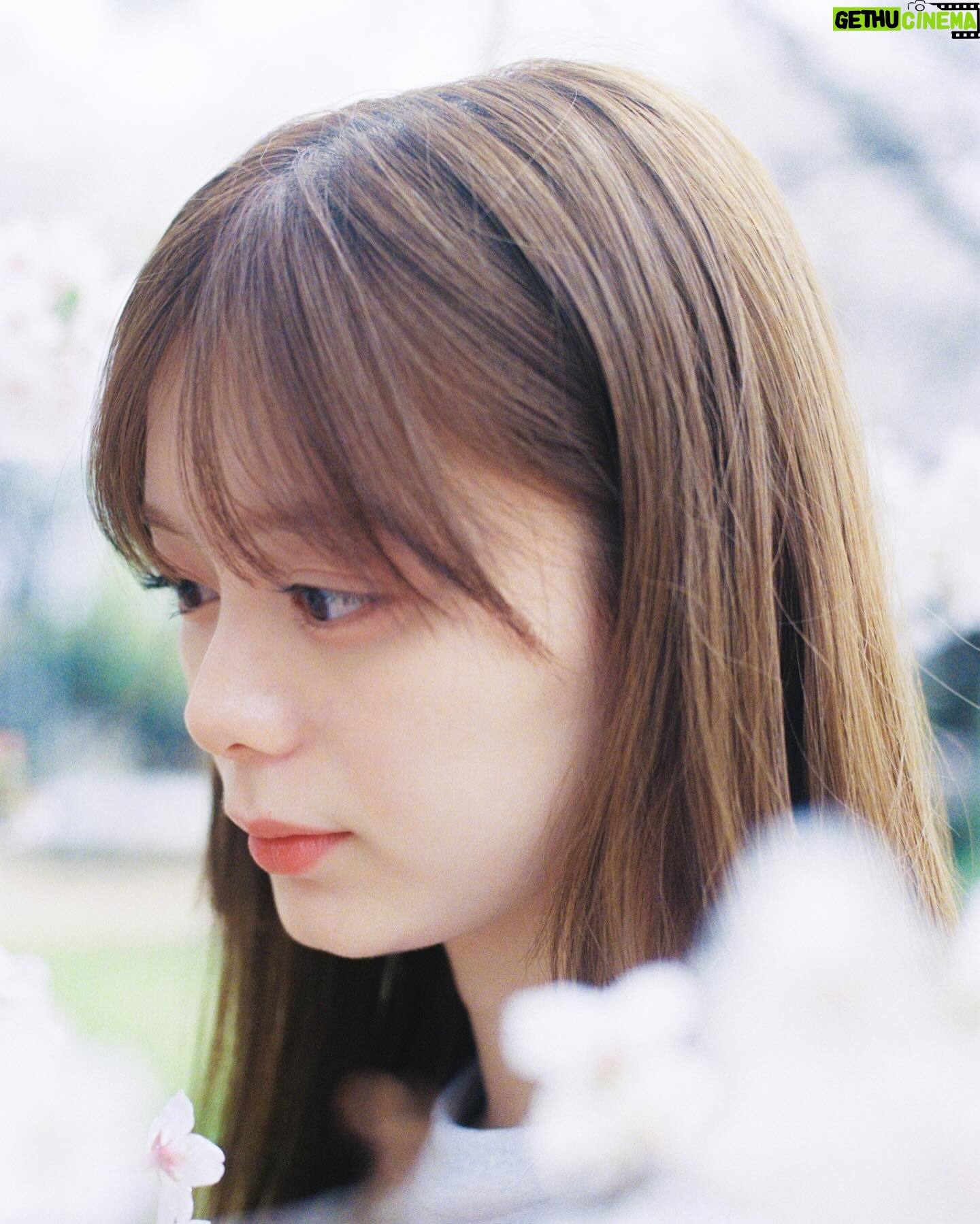 Ayaka Konno - 25K Likes - もう葉っぱになってからずいぶん経ってるけど!
載せちゃう!!