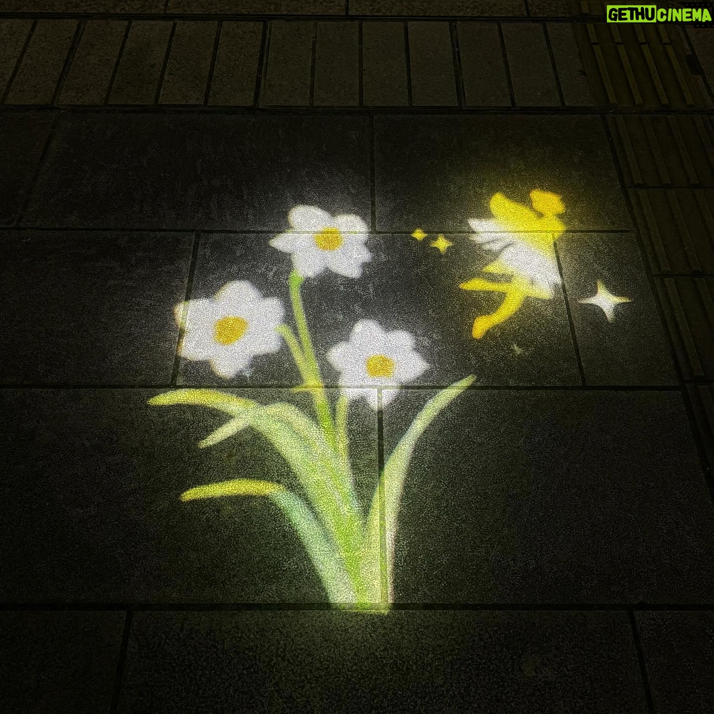 Ayaka Konno - 22K Likes - 花と光のムーブメント
今回は葛西臨海公園に行ってきました!
スイセンのいい香りに包まれた空間とライトアップ、観覧車とのコラボも葛西臨海公園ならではで、とっても素敵でした🫶
2/25までなのでぜひ行ってみてね〜!
ライトアップの時間は17:00〜21:00の間です🙆♀️
#PR
#花と光のムーブメント #葛西臨海公園 #水仙 #スイセン
#ライトアップ #フォトスポット #観覧車 #イルミネーション