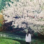 Ayaka Konno Instagram – もう葉っぱになってからずいぶん経ってるけど！
載せちゃう！！
