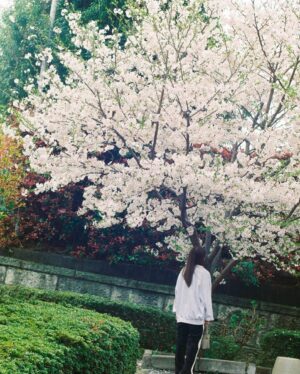 Ayaka Konno Instagram - もう葉っぱになってからずいぶん経ってるけど！
載せちゃう！！