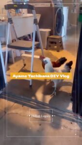 Actress Ayame Tachibana HD Instagram Photos and Wallpapers February 2024