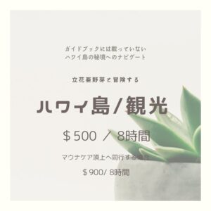 Ayame Tachibana Instagram - 【ハワイ島/観光ナビゲーション】

このプランのアテンドは
ヒロ、プナ、ボルケーノ　エリアのみの
同行になります✨

メジャーな観光地
キラウェア火山、レインボーフォールズ🌈

ファーマーズマーケットや
ローカルショッピング
ビッグアイランドクッキー🍪

そして、ガイドブックには載っていない
ハワイ島の隠れた秘境を
ご案内致します🐢🌊

----

【menu】

人数　/ 1〜2名様
(1名でも金額は変わりません)

＄500 / 8時間　

↑ここに島の移動費、車のガソリン代も
含まれています。

※マウナケアに行く場合

＄900 / 8時間

四駆の車をレンタルして
富士山より高い山に運転していきます。

ガソリン代、ドライバー代
車のレンタル代

↑ここがプラスされた料金になります。

🌟両プラン、食事は含まれていません。
各自でお願い致します。

------

⚠️ 今回のツアーはハワイ島の
ヒロ側のみの同行になります。

⚪︎コナ側へ車で行く場合

2時間運転、ガソリン代が＄100 超えるので
このツアーには含まれていません。

----

ご予約希望の方は

@hilltoplegacy_hilo に
DMお待ちしております😌✨

みなさまに会えるタイミングを
心待ちにしています🥰💓

#hilltoplegacy  #ヒルトップレガシー
#ハワイ島　#ハワイ島ツアー