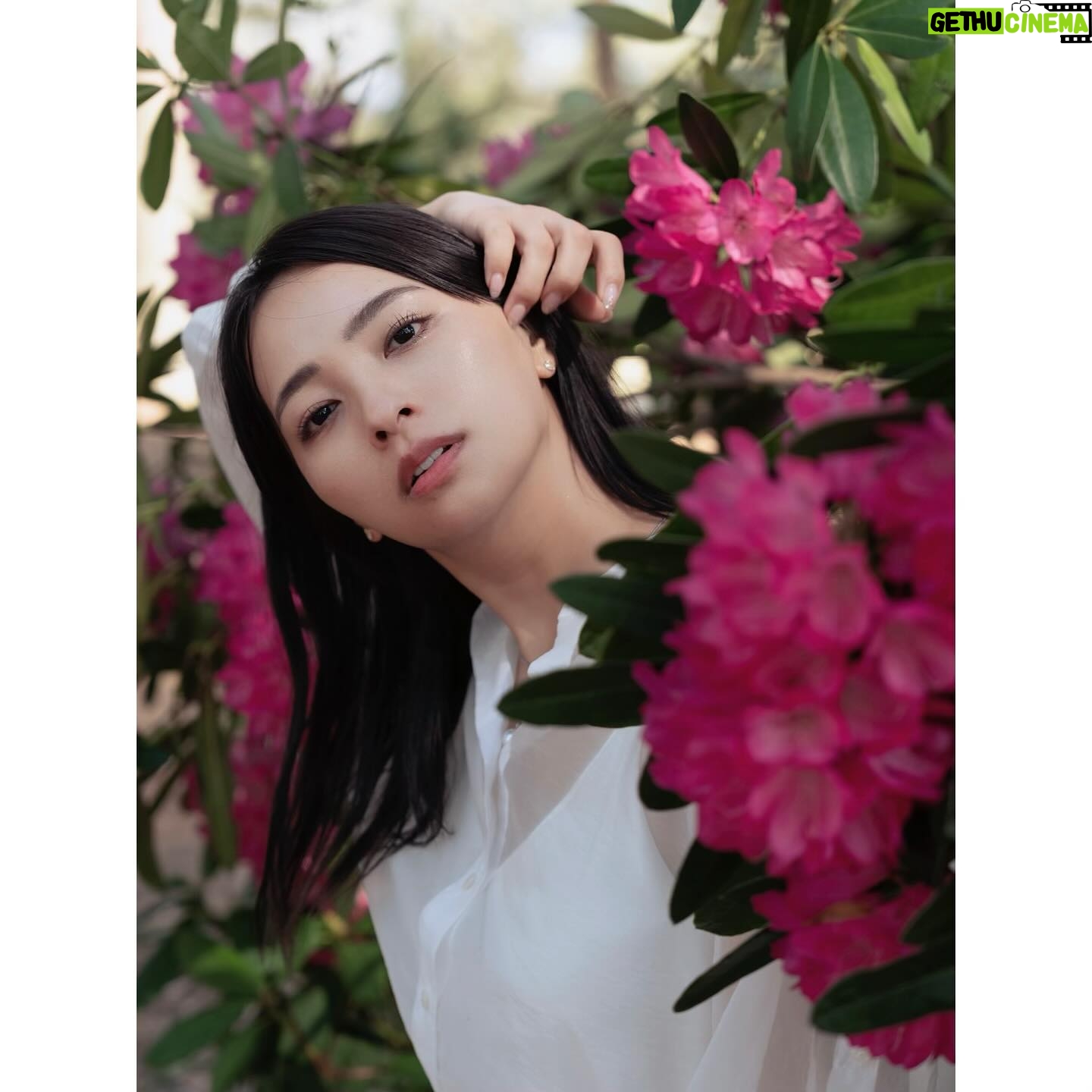 Ayame Misaki - 7.8K Likes - I turned 35.
Yesterday was my birthday.
写真は何枚目が好き?
35歳になったよー!!
たくさんのお祝いメッセージありがとう♡
相変わらずドラマ撮影や、シティーハンターの配信、写真集発売などなどバタバタしておりてんてこまいですが頑張ってます!
今声が飛んでしまって各方面にご迷惑をおかけしていますが、なんとか乗り切って35歳をいい年に出来るようにがんばります。
今日もドラマ撮影、明日は写真集イベントと盛りだくさんなので
明日会えるみんな❤️楽しみにしてるぞーー✨
たくさん話しかけてね!!笑顔で応えます笑
#photo #ポートレート #camera #Flower
#mybirthday #birthday #happybirthday #35歳
#アラフォーの仲間入り