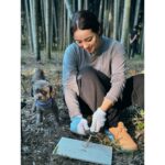 Ayame Misaki Instagram - Camp🏕️🐶🌰 キャンプの季節だぁぁぁぁーー 虫が苦手すぎるから夏は遠慮してるんだけど、秋冬は寒いから焚き火もやりがいがあるしとっても好き。 ご飯は今回初使用のマルチグリドル。なんかマックでそんなバーガーがあったような…🍔？ これとっても使いやすくて、ほんとうにおすすめだった。なんでも作れるしくっつかない最高。チーズフォンデュもあちあちで美味しすぎた。 焚き火が大好きなんだぁ〜。 まろんに見守られながらフェザースティック作って着火。ぱちぱちって音が素敵だよね。癒されたぁ。 マシュマロ持っていくの忘れたから、次はスモアもね。 #dog #dogoftheday #camping #camp #camplife #camper #冬キャンプ #焚き火 #🔥 #fire #キャンプ女子 #フェザースティック #マルチグリドル #チーズフォンデュ #ご飯
