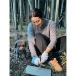 Ayame Misaki Instagram - Camp🏕️🐶🌰 キャンプの季節だぁぁぁぁーー 虫が苦手すぎるから夏は遠慮してるんだけど、秋冬は寒いから焚き火もやりがいがあるしとっても好き。 ご飯は今回初使用のマルチグリドル。なんかマックでそんなバーガーがあったような…🍔？ これとっても使いやすくて、ほんとうにおすすめだった。なんでも作れるしくっつかない最高。チーズフォンデュもあちあちで美味しすぎた。 焚き火が大好きなんだぁ〜。 まろんに見守られながらフェザースティック作って着火。ぱちぱちって音が素敵だよね。癒されたぁ。 マシュマロ持っていくの忘れたから、次はスモアもね。 #dog #dogoftheday #camping #camp #camplife #camper #冬キャンプ #焚き火 #🔥 #fire #キャンプ女子 #フェザースティック #マルチグリドル #チーズフォンデュ #ご飯