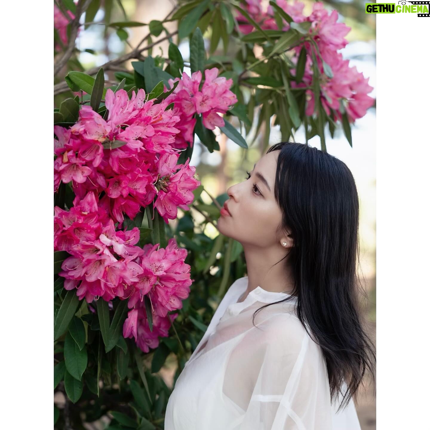 Ayame Misaki - 7.8K Likes - I turned 35.
Yesterday was my birthday.
写真は何枚目が好き?
35歳になったよー!!
たくさんのお祝いメッセージありがとう♡
相変わらずドラマ撮影や、シティーハンターの配信、写真集発売などなどバタバタしておりてんてこまいですが頑張ってます!
今声が飛んでしまって各方面にご迷惑をおかけしていますが、なんとか乗り切って35歳をいい年に出来るようにがんばります。
今日もドラマ撮影、明日は写真集イベントと盛りだくさんなので
明日会えるみんな❤️楽しみにしてるぞーー✨
たくさん話しかけてね!!笑顔で応えます笑
#photo #ポートレート #camera #Flower
#mybirthday #birthday #happybirthday #35歳
#アラフォーの仲間入り