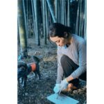 Ayame Misaki Instagram - Camp🏕️🐶🌰 キャンプの季節だぁぁぁぁーー 虫が苦手すぎるから夏は遠慮してるんだけど、秋冬は寒いから焚き火もやりがいがあるしとっても好き。 ご飯は今回初使用のマルチグリドル。なんかマックでそんなバーガーがあったような…🍔？ これとっても使いやすくて、ほんとうにおすすめだった。なんでも作れるしくっつかない最高。チーズフォンデュもあちあちで美味しすぎた。 焚き火が大好きなんだぁ〜。 まろんに見守られながらフェザースティック作って着火。ぱちぱちって音が素敵だよね。癒されたぁ。 マシュマロ持っていくの忘れたから、次はスモアもね。 #dog #dogoftheday #camping #camp #camplife #camper #冬キャンプ #焚き火 #🔥 #fire #キャンプ女子 #フェザースティック #マルチグリドル #チーズフォンデュ #ご飯