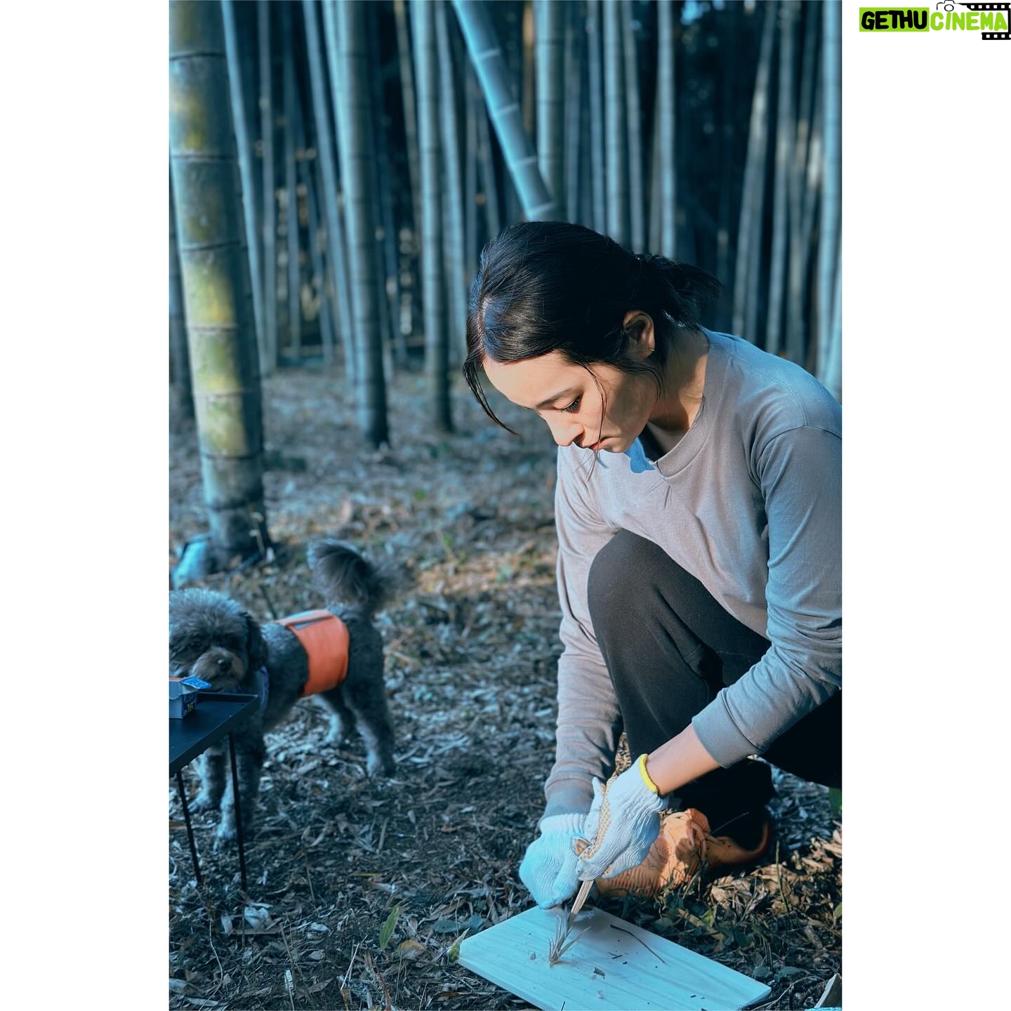 Ayame Misaki Instagram - Camp๐๏ธ๐ถ๐ฐ ใญใฃใณใใฎๅญฃ็ฏใ ใใใใใผใผ ่ซใ่ฆๆใใใใใๅคใฏ้ ๆ
ฎใใฆใใใ ใใฉใ็งๅฌใฏๅฏใใใ็ใ็ซใใใใใใใใใใจใฃใฆใๅฅฝใใ ใ้ฃฏใฏไปๅๅไฝฟ็จใฎใใซใใฐใชใใซใใชใใใใใฏใงใใใชใใผใฌใผใใใฃใใใใชโฆ๐๏ผ ใใใจใฃใฆใไฝฟใใใใใฆใใปใใจใใซใใใใใ ใฃใใใชใใงใไฝใใใใใฃใคใใชใๆ้ซใใใผใบใใฉใณใใฅใใใกใใกใง็พๅณใใใใใ ็ใ็ซใๅคงๅฅฝใใชใใ ใใใ ใพใใใซ่ฆๅฎใใใชใใใใงใถใผในใใฃใใฏไฝใฃใฆ็็ซใใฑใกใฑใกใฃใฆ้ณใ็ด ๆตใ ใใญใ็ใใใใใ ใใทใฅใใญๆใฃใฆใใใฎๅฟใใใใใๆฌกใฏในใขใขใใญใ #dog #dogoftheday #camping #camp #camplife #camper #ๅฌใญใฃใณใ #็ใ็ซ #๐ฅ #fire #ใญใฃใณใๅฅณๅญ #ใใงใถใผในใใฃใใฏ #ใใซใใฐใชใใซ #ใใผใบใใฉใณใใฅ #ใ้ฃฏ