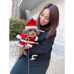Ayame Misaki Instagram - Merry Christmas🎅🐶🌰 #メリークリスマス #ChristmasEve