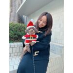Ayame Misaki Instagram - Merry Christmas🎅🐶🌰 #メリークリスマス #ChristmasEve