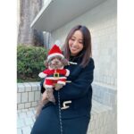 Ayame Misaki Instagram - Merry Christmas🎅🐶🌰 #メリークリスマス #ChristmasEve