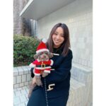 Ayame Misaki Instagram - Merry Christmas🎅🐶🌰 #メリークリスマス #ChristmasEve