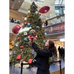 Ayame Misaki Instagram - Merry Christmas🎅🐶🌰 #メリークリスマス #ChristmasEve