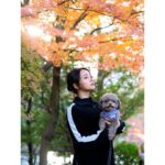 Ayame Misaki Instagram - 紅葉と🌰 どの写真が好き？ 1ヶ月くらい遅く紅葉が色づき始めましたね。 これからもっと寒くなっていくのかなぁ。 寒暖差で風邪ひきそうだけど、耐えて年末年始を乗り切りたいと思います。みんなも気をつけてね♡ 今日もいちにち頑張りましょう。楽しんで。 #紅葉 #もみじ #🍁