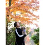 Ayame Misaki Instagram - 紅葉と🌰 どの写真が好き？ 1ヶ月くらい遅く紅葉が色づき始めましたね。 これからもっと寒くなっていくのかなぁ。 寒暖差で風邪ひきそうだけど、耐えて年末年始を乗り切りたいと思います。みんなも気をつけてね♡ 今日もいちにち頑張りましょう。楽しんで。 #紅葉 #もみじ #🍁