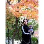 Ayame Misaki Instagram - 紅葉と🌰 どの写真が好き？ 1ヶ月くらい遅く紅葉が色づき始めましたね。 これからもっと寒くなっていくのかなぁ。 寒暖差で風邪ひきそうだけど、耐えて年末年始を乗り切りたいと思います。みんなも気をつけてね♡ 今日もいちにち頑張りましょう。楽しんで。 #紅葉 #もみじ #🍁