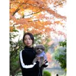 Ayame Misaki Instagram - 紅葉と🌰 どの写真が好き？ 1ヶ月くらい遅く紅葉が色づき始めましたね。 これからもっと寒くなっていくのかなぁ。 寒暖差で風邪ひきそうだけど、耐えて年末年始を乗り切りたいと思います。みんなも気をつけてね♡ 今日もいちにち頑張りましょう。楽しんで。 #紅葉 #もみじ #🍁