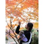 Ayame Misaki Instagram - 紅葉と🌰 どの写真が好き？ 1ヶ月くらい遅く紅葉が色づき始めましたね。 これからもっと寒くなっていくのかなぁ。 寒暖差で風邪ひきそうだけど、耐えて年末年始を乗り切りたいと思います。みんなも気をつけてね♡ 今日もいちにち頑張りましょう。楽しんで。 #紅葉 #もみじ #🍁
