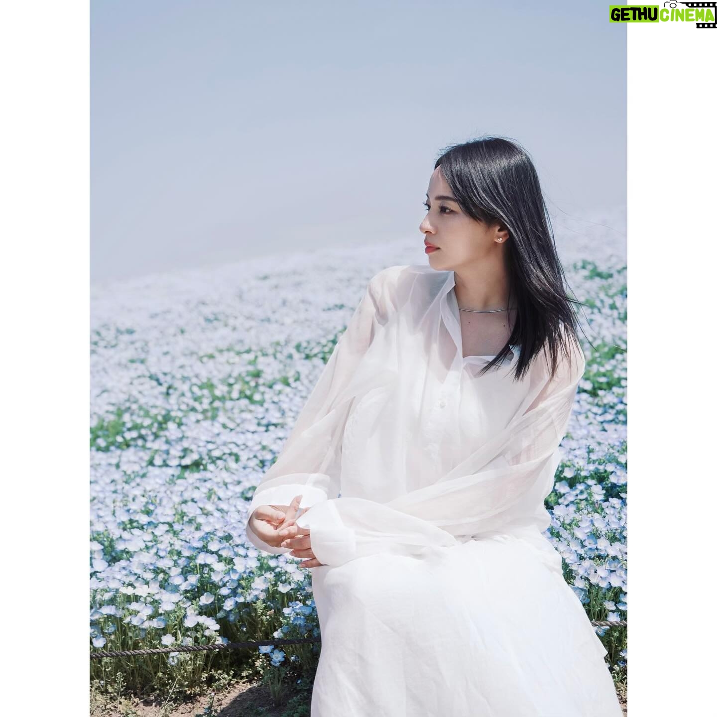 Ayame Misaki Instagram - Do u love me?πππ εηιγ¨γγ©γγ¨γ·γγ£γΌγγ³γΏγΌγ―γγθ¦γ¦γγγοΌ @r.ph0923 camera/photographer #ιγη©Ί #γγ’γγ£γ© #Nemophila #η©Ί #γγ«γΌγΉγ«γ€ #γγγε€©ζ° #λ°μΌλ¦¬λ£© #μ€μ€ν°λ #μ
μΉ΄ #νΈλ₯Έ #νλγ#ζε½± #ζζ #θ倩 #θ倩η½δΊ #γ«γ‘γ© #γγΌγγ¬γΌγ #εη #photo #photography #photography #portrait #love #gravure #japanese #japan