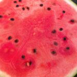 Ayana Taketatsu Instagram - スイカうんまっ🍉