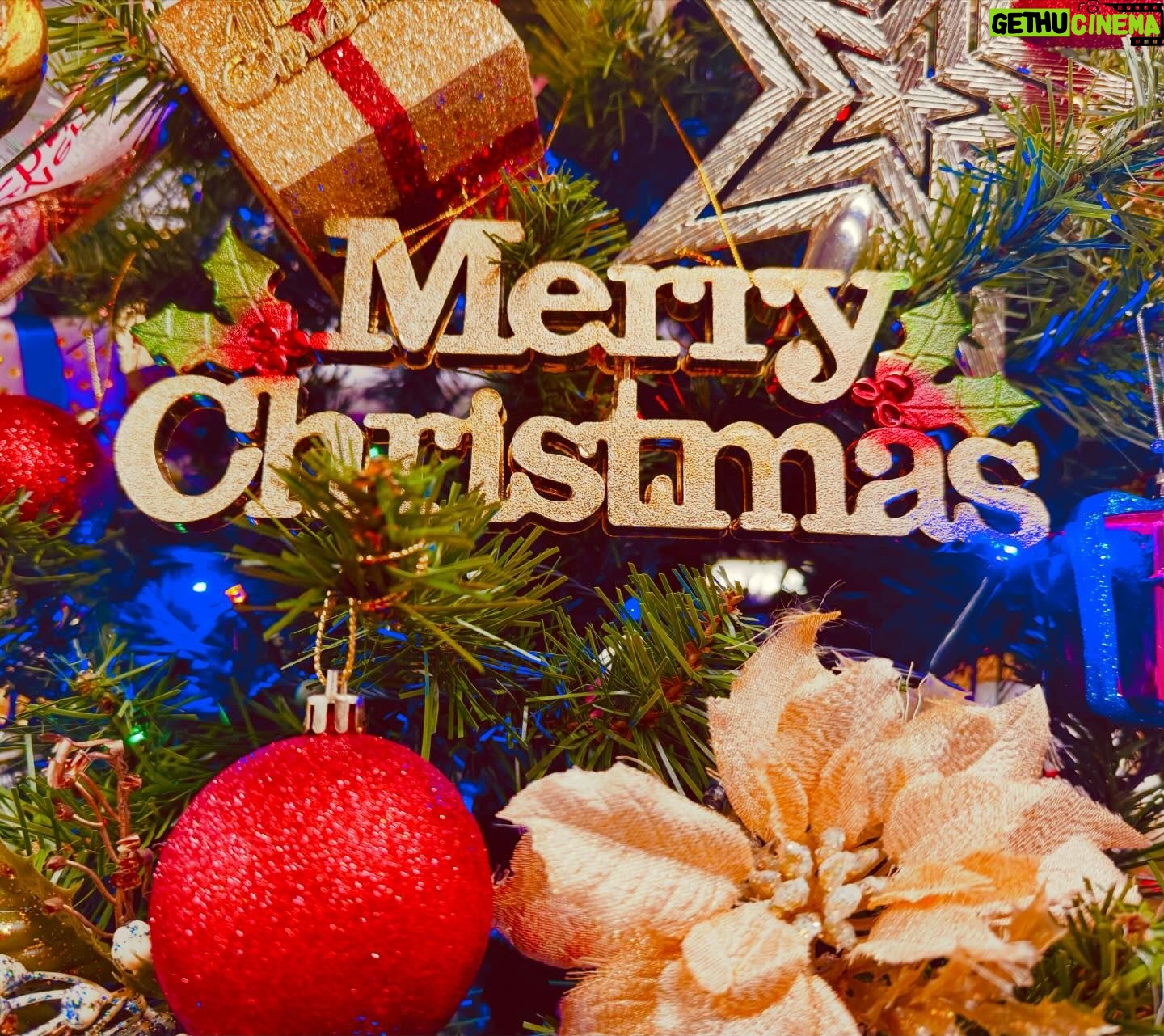Ayana Taketatsu Instagram - スタジオがクリスマスムードに🎄 お家のツリーも出したいなぁ☺︎