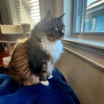 Ayanna Pressley Instagram – It’s just another Mancoon Monday, have a great one!  xoxo Sojourner Truth Pressley Harris aka SoJo
