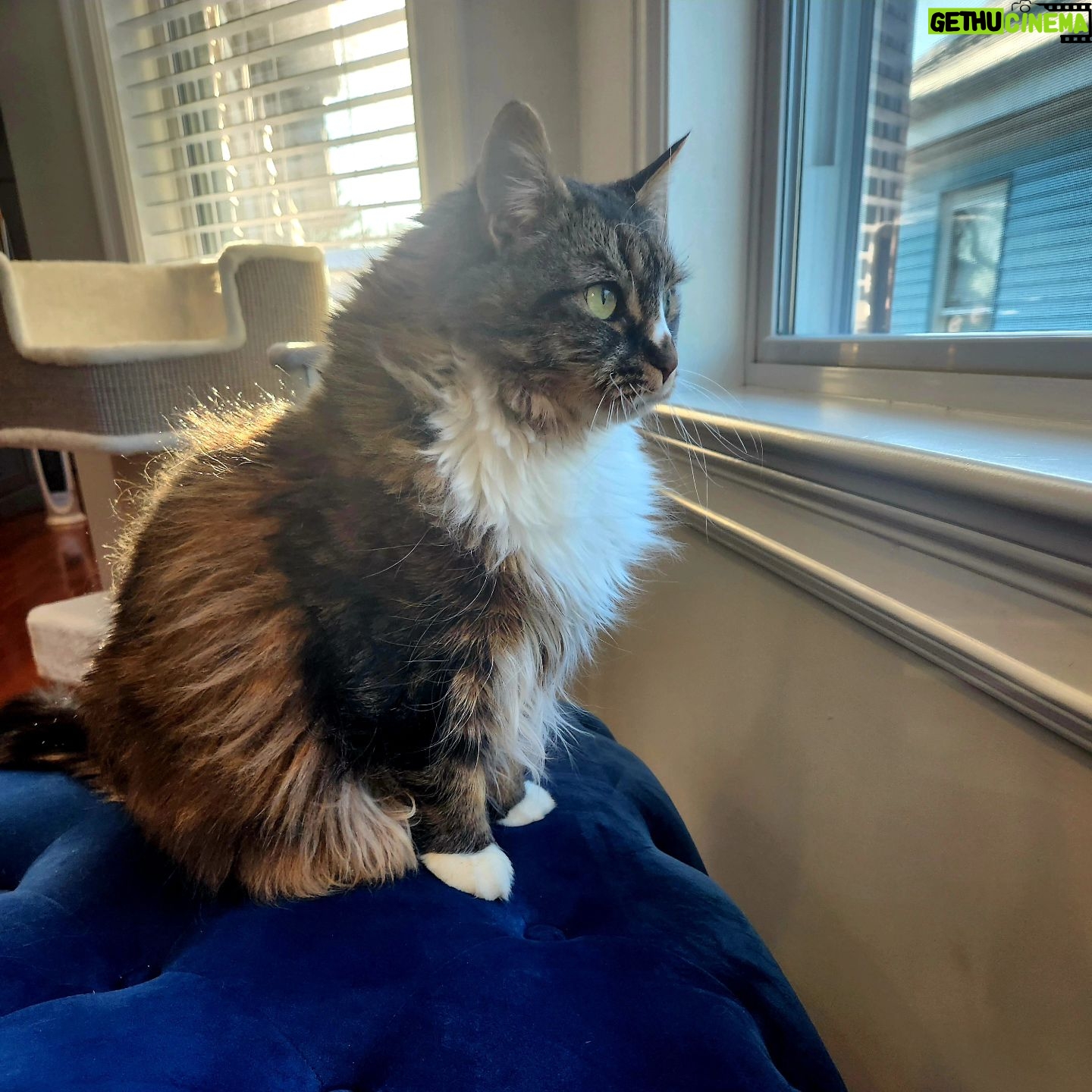 Ayanna Pressley - 1.1K Likes - It's just another Mancoon Monday, have a great one! xoxo Sojourner Truth Pressley Harris aka SoJo