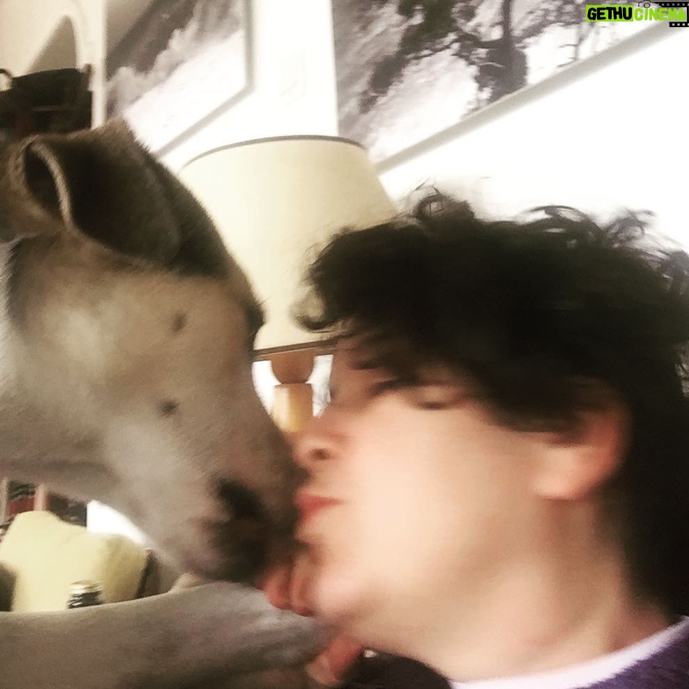 Ayça Damgacı - 3.1K Likes - #moli #dogsofinstagram #dogstagram 🌈