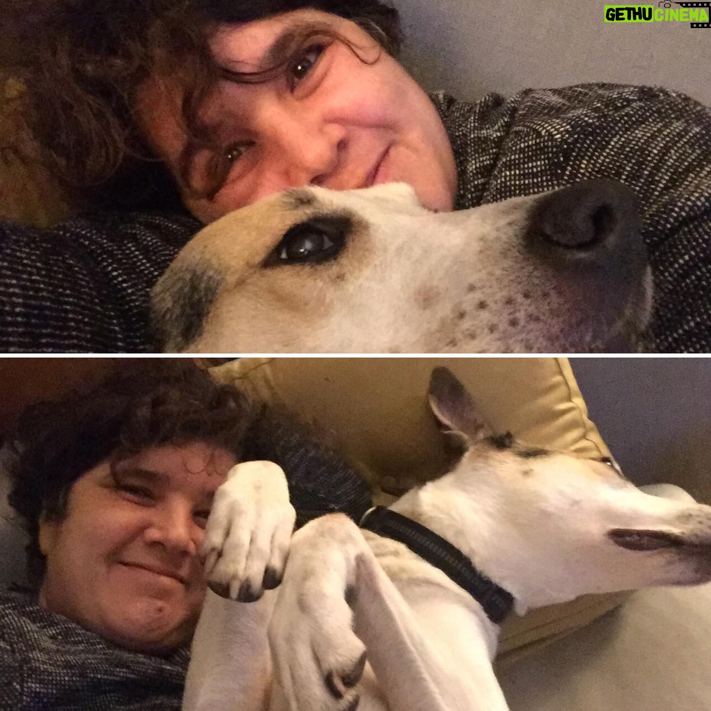 Ayça Damgacı - 2.6K Likes - Aşk var! 🌈 moli💜ben #dogsofinstagram #doglover #köpekaşkı