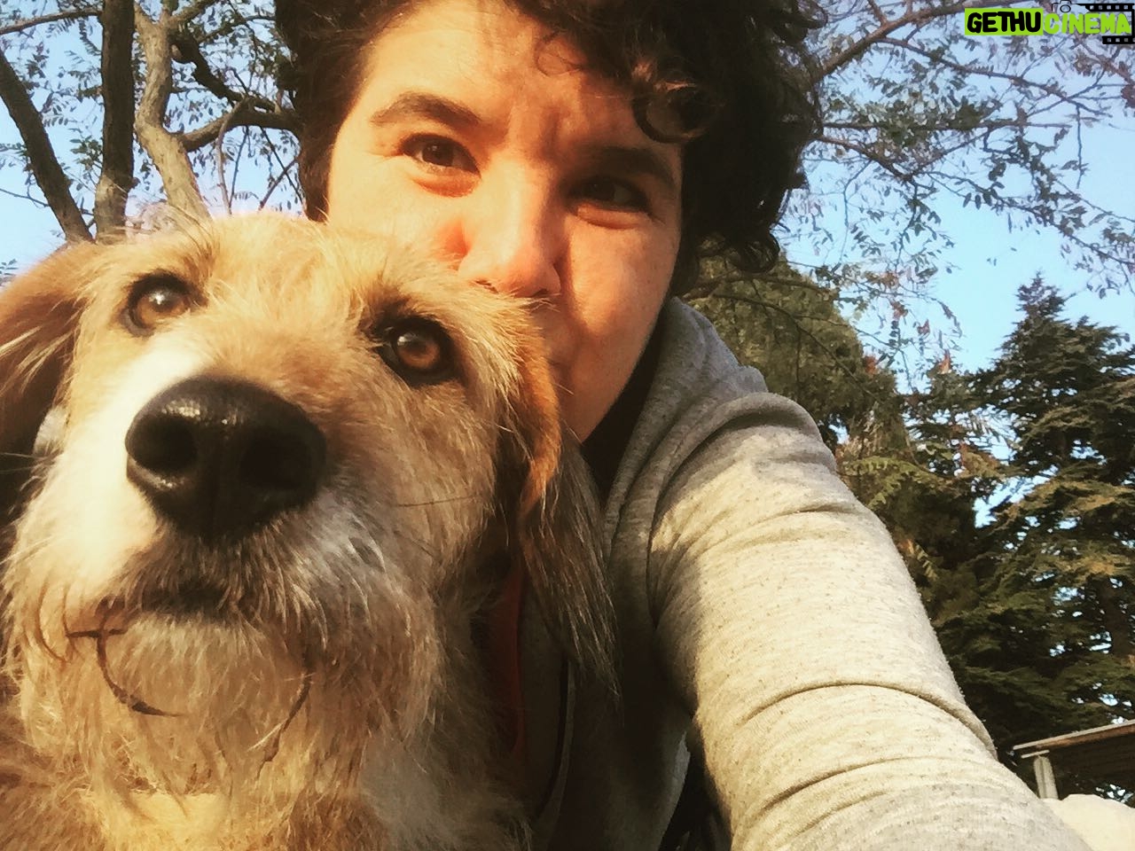 Ayça Damgacı - 2.8K Likes - Benim sakallı kızım Topsi #dog #dogsofinstagram