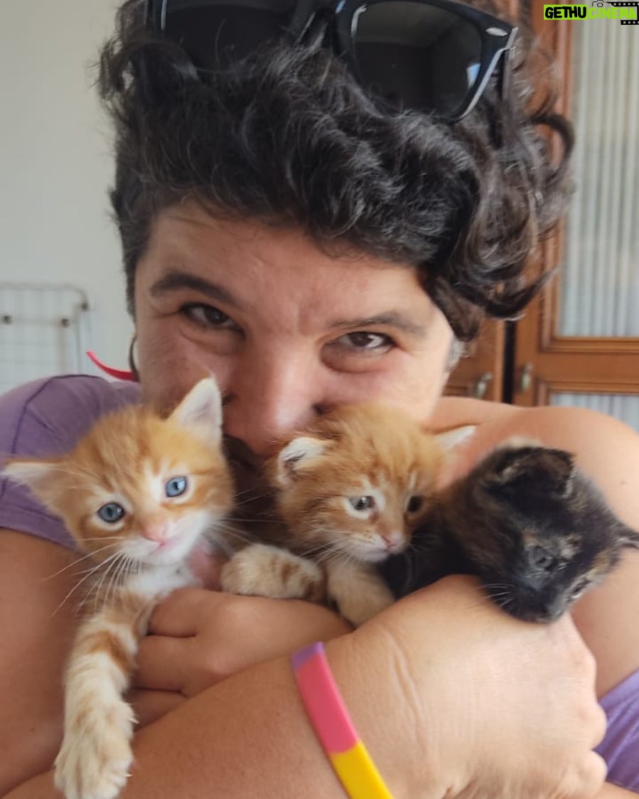 Ayça Damgacı - 1.3K Likes - Bir demet #kitten #granny
Torunlarimla beraber 🌈💜🧿 foto credit: @zeynelmeric