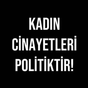 Ayça Damgacı Instagram - #kadıncinayetleripolitiktir #pınargültekin #istanbulsözleşmesiyaşatır