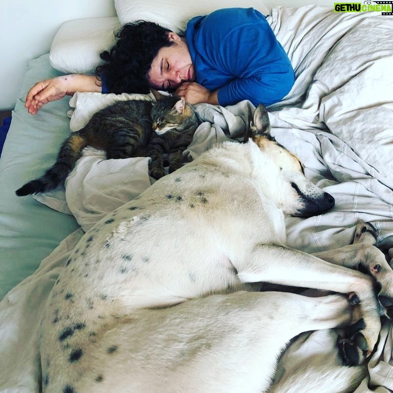 Ayça Damgacı - 1.4K Likes - ZZZZZZZZzzzzzxxx
