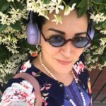 Ayça İnci
