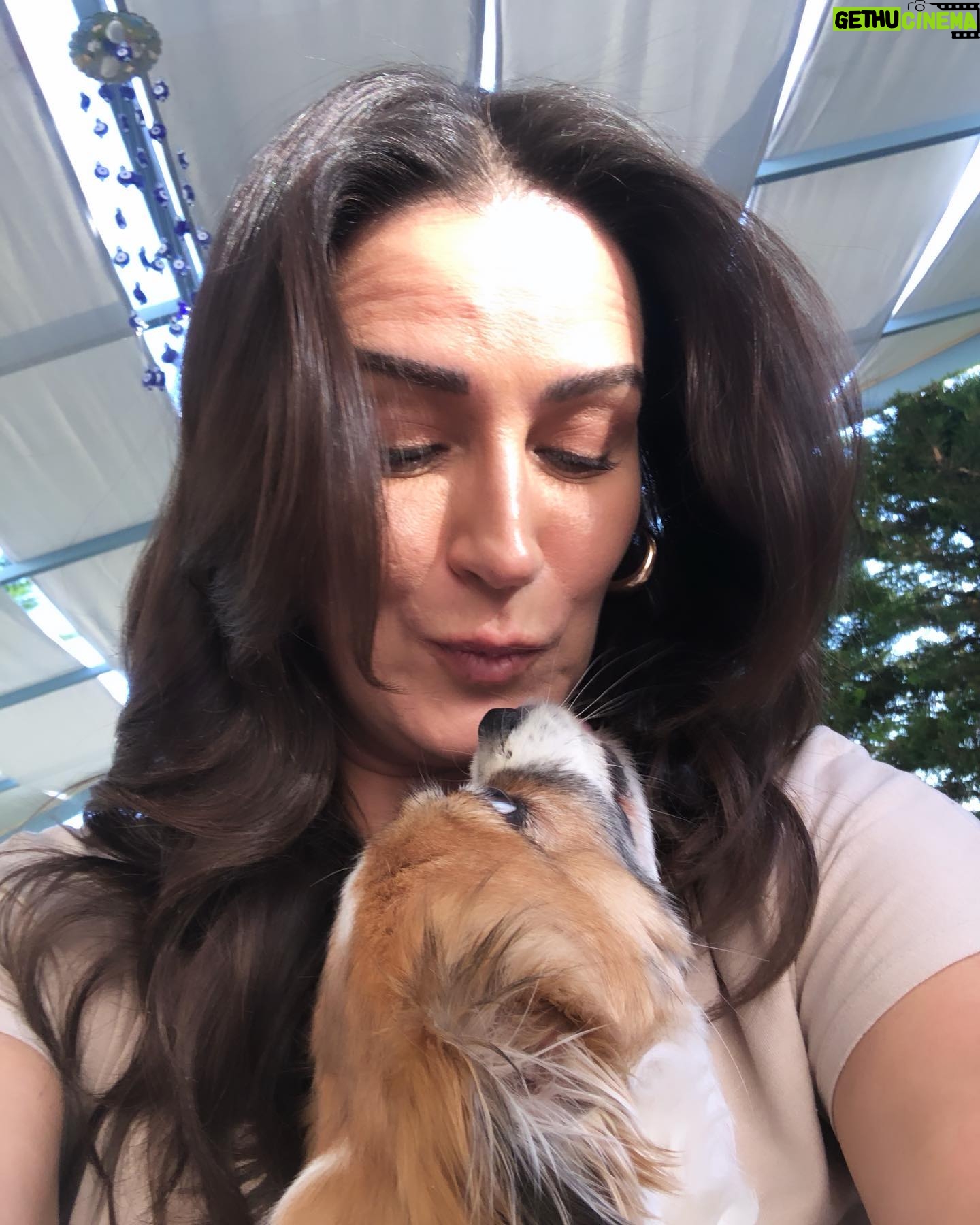 Ayça İnci - 1K Likes - Aman da aman!! Bu güzelimizin adı Zilli çok sevdik birbirimizi..Ayvalık’tan gidiyorum diye öpüyor beni ama yine geleceğim ben kuzum Cunda’ya seni görmeye merak etme 🤍🧿🌞 🐶😉 @megaronhomes