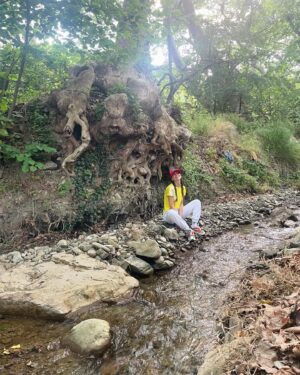 Aydan Taş Instagram - #atsonfotoyufava 🫂💚 Bu post ile ilgili ilk yorum #mehmetarifnihatasya ‘dan geliyor 🌳 👧 

Çocuk, çok sevdi ağacı...
Verirdi ona, her kış
Çiçekleri olaydı! 
Ağaç, çok sevdi çocuğu...
Öperdi altın saçlarından
Dudakları olaydı!