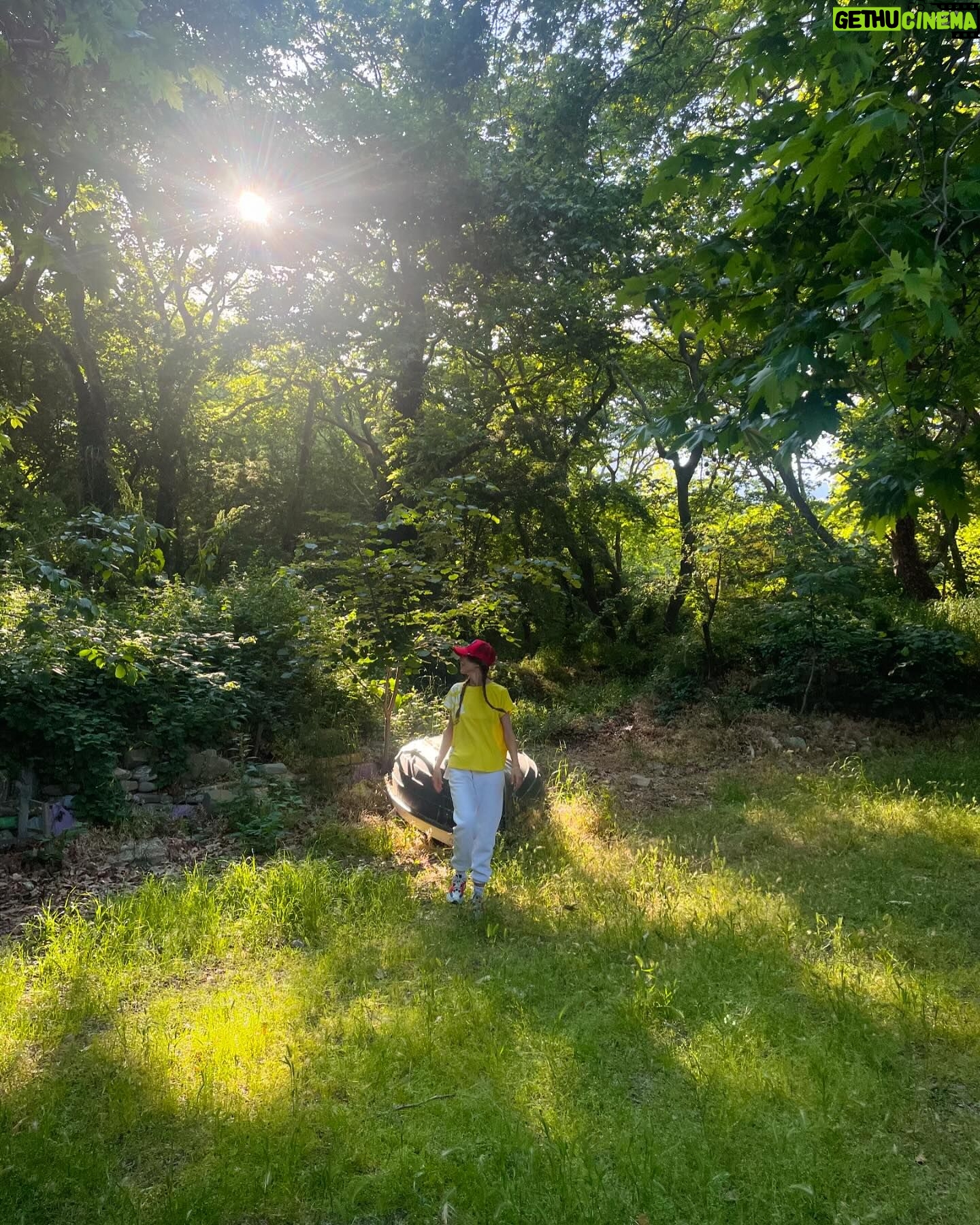 Aydan Taş - 3 Likes - #atsonfotoyufava 🫂💚 Bu post ile ilgili ilk yorum #mehmetarifnihatasya ‘dan geliyor 🌳 👧
Çocuk, çok sevdi ağacı...
Verirdi ona, her kış
Çiçekleri olaydı!
Ağaç, çok sevdi çocuğu...
Öperdi altın saçlarından
Dudakları olaydı!