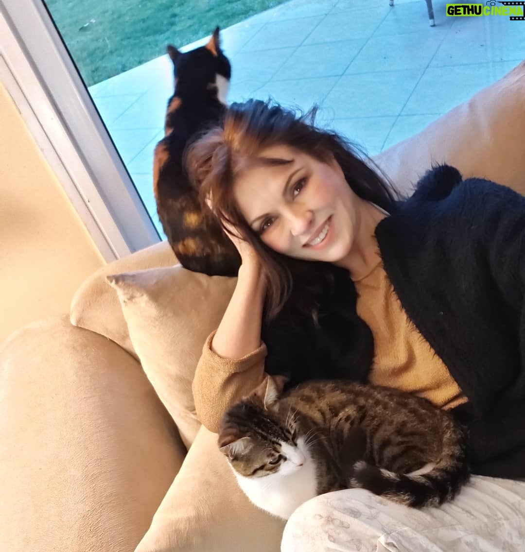 Aydan Şener - 13.9K Likes - Huzurlu bir akşam dilerim..😻❣😺💞