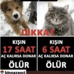 Aydan Şener Instagram - #repost @binnazavci @repost.user 🙏elimizden ne gelirse 🙏