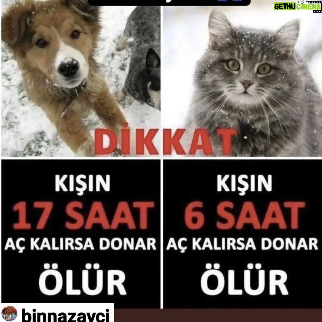 Aydan Şener Instagram - #repost @binnazavci @repost.user 🙏elimizden ne gelirse 🙏