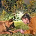 Aydan Şener Instagram – Aşkk..❤️🐕 #argos💞 photo by @oguzhannsener