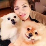 Aydan Şener Instagram – Sevgili @mysingerpets hazırlamış..canım deyzi’m bana şarkı söylüyor..🐩🐕 Mutlu hafta sonları ❣❣