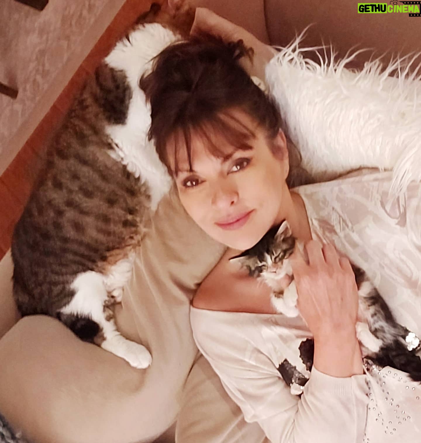 Aydan Şener - 13.5K Likes - Güzel bir güne uyanmamız dileğiyle..🙏iyi geceler..💞😺😻😽❣