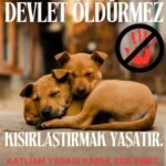 Aydan Şener Instagram – Sistemli ve hızlı bir şekilde kısırlaştırmak çözümken bu canlara nasıl kıyacaksınız.. 🐕  En az sizin kadar onlarında yaşamaya hakkı var..Toplayıp o sefil barinaklariniza tikmakta değil,kısırlaştırıp doğal ortamlarına bırakmaktır tek çözüm..Artık vicdansızlıkta sinir tanımaz olduk..yazıklar olsun insanlığımıza..