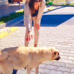 Aydan Şener Instagram - Sadece 4 ekimde değil onları hergün koruyalım,kollayalım,sevmesekde incitmeyelim.. Unutmayalım ki onlarda can taşıyor..Bizim gibi onlarda aynı acıları çekiyor.. tek istedikleri biraz yemek,biraz sevgi..Çok tatlılar çook..🐕😻😽💞