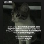 Aydan Şener Instagram – Nasıl bir vicdansızlıktır bu yaa..Nasıl kalkabilir o kopasıca eliniz,ayağınız size korkuyla bakan minicik,çaresiz bir meleğe..En ufak bir sevgi kırıntısı yok içinizde onu anladık da ilahi adalet korkusuda mi yok??İnşallah yaşattığınızı yaşamadan gebermeyin.. #ibrahimkeloglantutuklansın