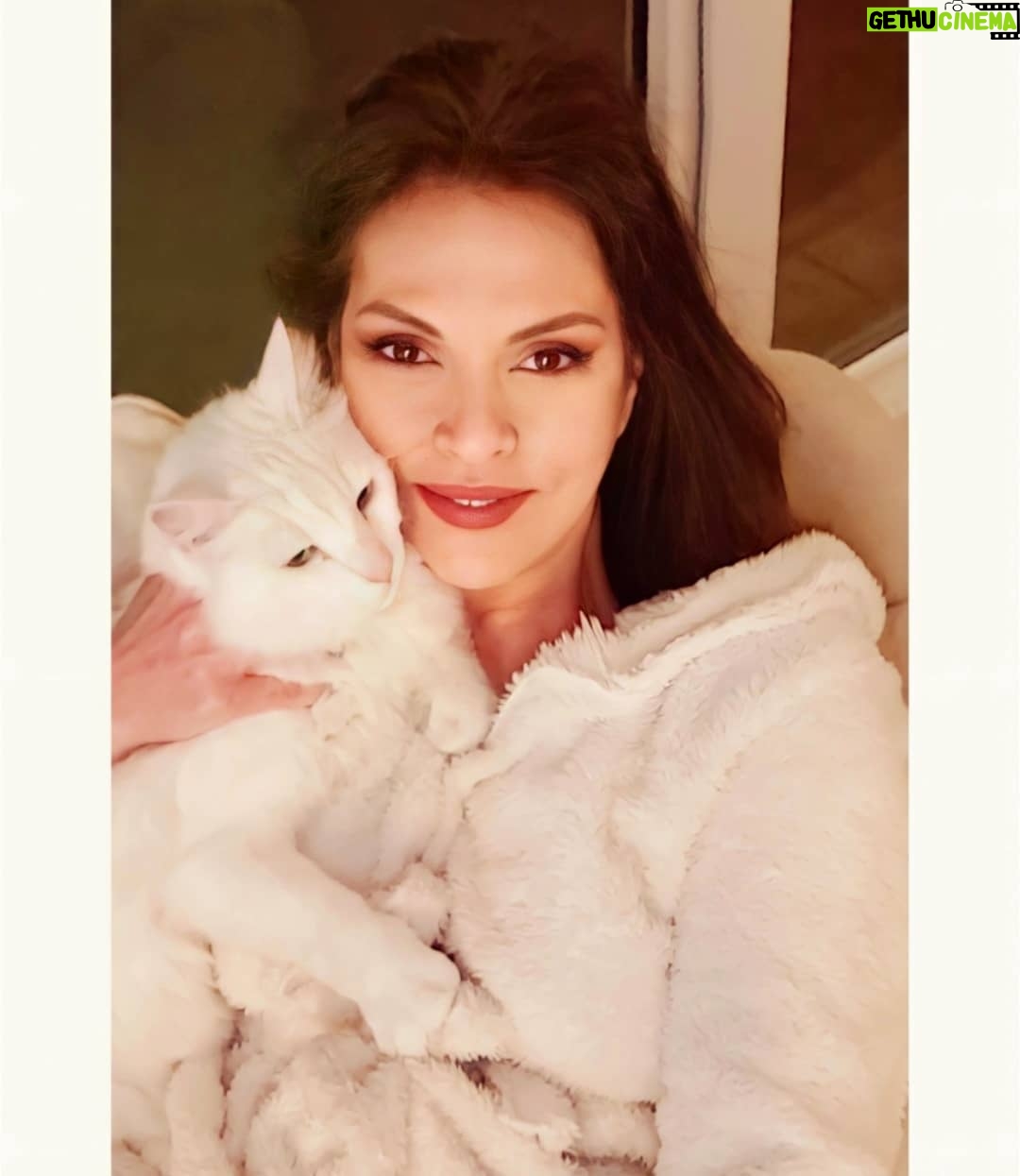 Aydan Şener - 10K Likes - Pamuk ve ben hepinize iyi akşamlar dileriz..🙏😻😽❣💞